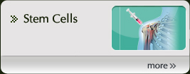 Stem Cells